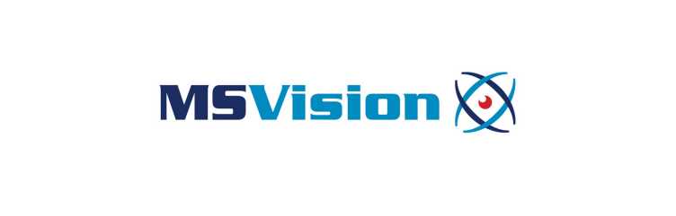 MS Vision